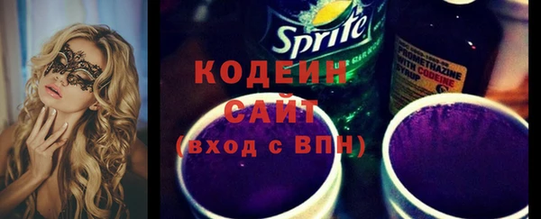 гашик Козельск
