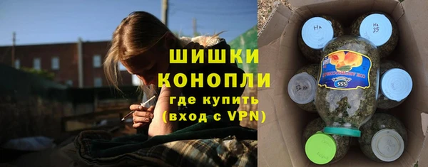 гашик Козельск