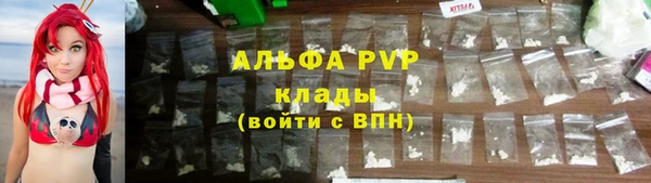 гашик Козельск