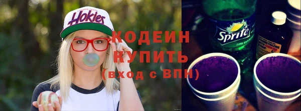 гашик Козельск