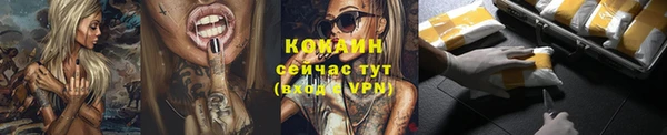 гашик Козельск