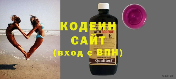гашик Козельск