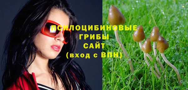 гашик Козельск