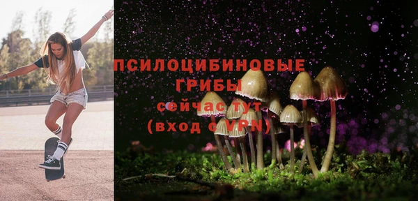 гашик Козельск
