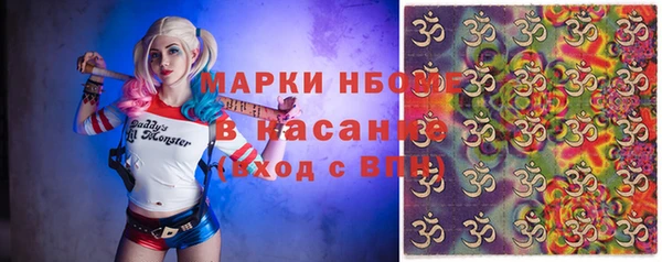 гашик Козельск