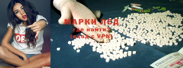 гашик Козельск