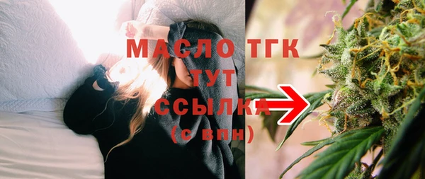 гашик Козельск