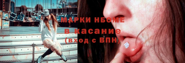 гашик Козельск
