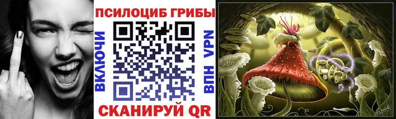 Псилоцибиновые грибы прущие грибы  Купить закладки  Балашов 
